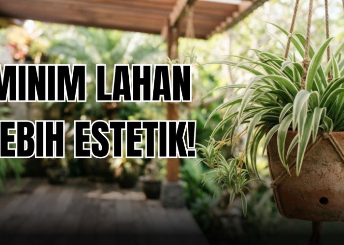 Tidak Memakan Banyak Tempat, 5 Tanaman Hias Minim Lahan Ini Bisa Bikin Rumah Kamu Jauh Lebih Estetik!