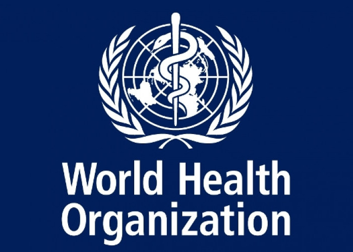 Soal Gagal Ginjal Akut, WHO Sudah Beri Peringatan Terkait Bahaya Obat Sirup untuk Anak-anak