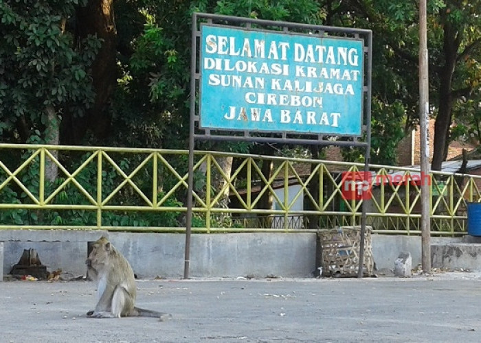 Santri Dikutuk Jadi Monyet, Kisah Murid Sunan Kalijaga di Cirebon