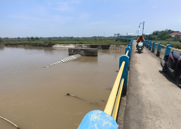 Warga Losari Cemas! Bendungan Karet Sobek, Sawah dan Air PDAM Terancam Asin