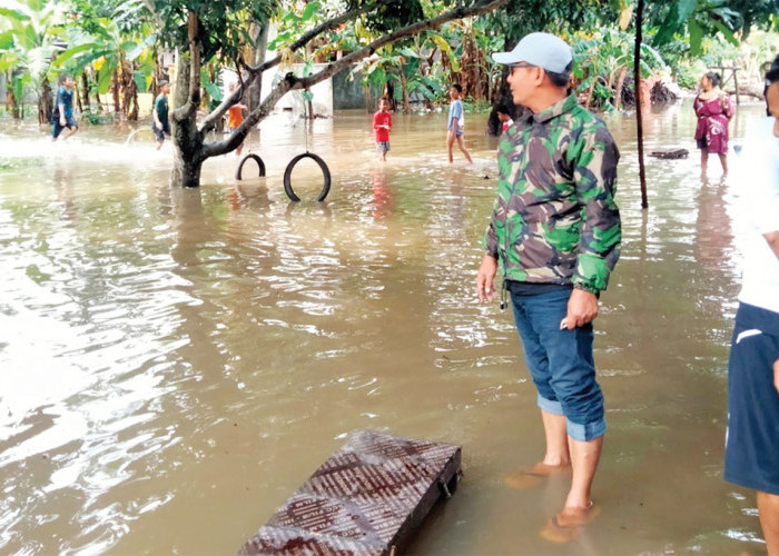 Banjir di Indramayu Saluran Tersumbat Proyek Nasional