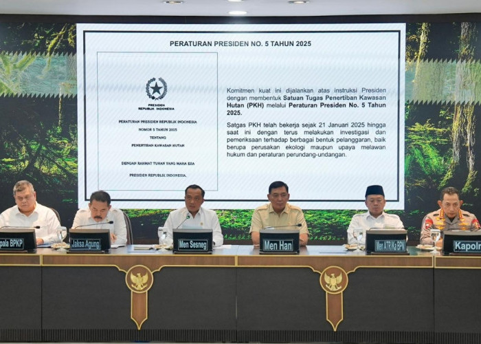 Pesan Duka dan Ketegasan Negara, Pemerintah Cabut Izin Perusahaan Langgar SDA