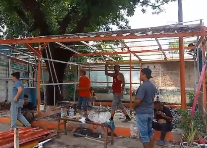 Sebelum Ditertibkan Satpol PP, PKL di Kalibaru Bongkar Lapak Sendiri