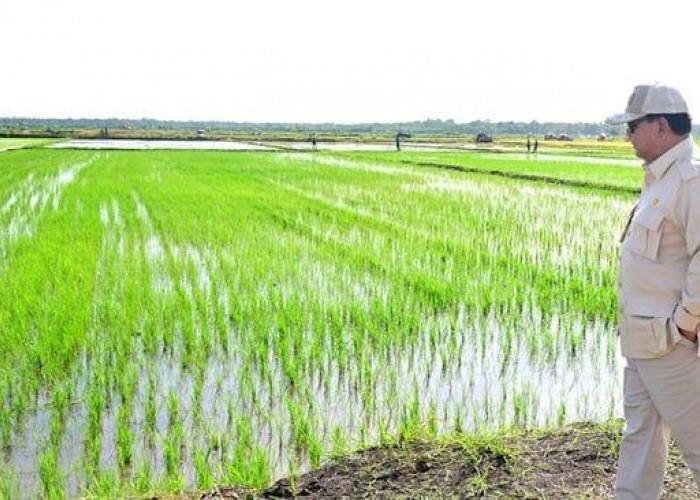Swasembada Pangan Jadi Modal Kemerdekaan Indonesia Hadapi Gejolak Global