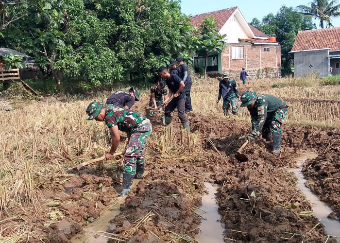 Tingkatkan Ketahanan Pangan di Desa Kubang, Satgas TMMD Bantu Petani Kelola Sawah