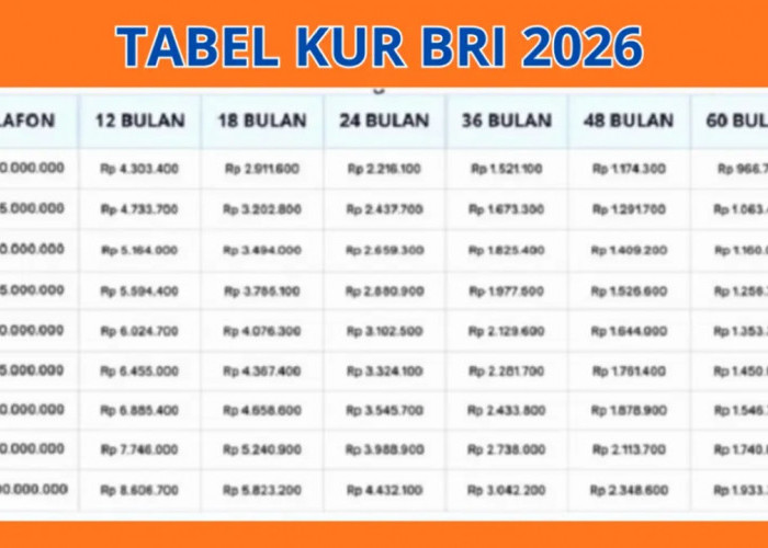 Lengkap! Tabel Angsuran KUR BRI 2026 Rp20 Juta, Cicilan Mulai Rp400 Ribuan