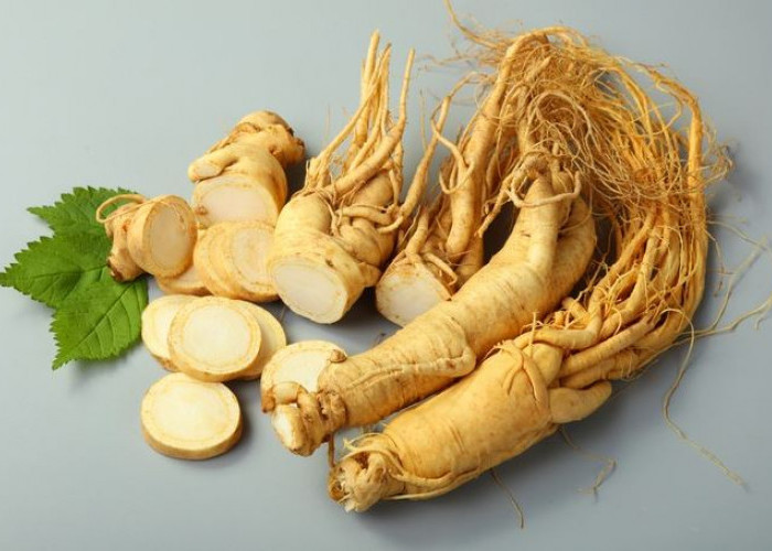 Ginseng dapat Memperbaiki Daya Ingat dan Fungsi Otak, Benarkah?