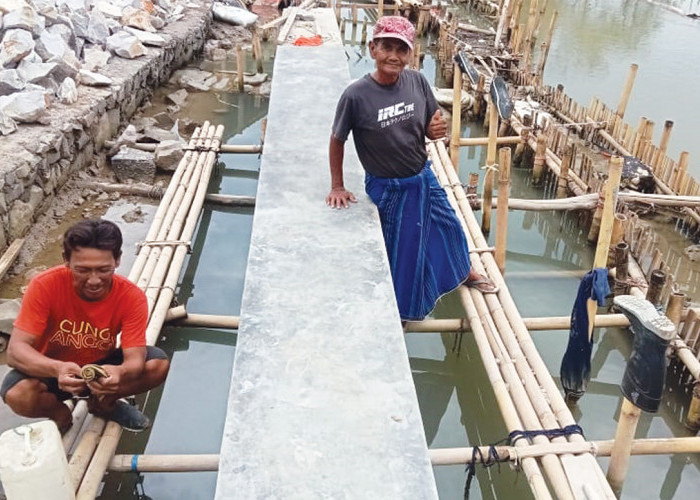 Tanggul Kukuh Engga Ngaruh, Desa Ambulu Cirebon Masih Diterjang Banjir Rob