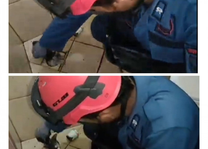 Damkar Cirebon Evakuasi Anak Kucing Terjepit di Saluran Air Kamar Mandi