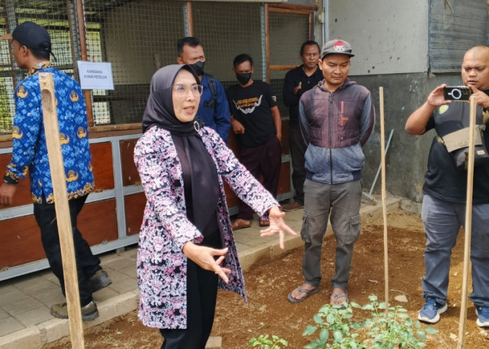 Arunika Kuningan Olah Sampah Organik Jadi Maggot, Dukung Pertanian Berkelanjutan