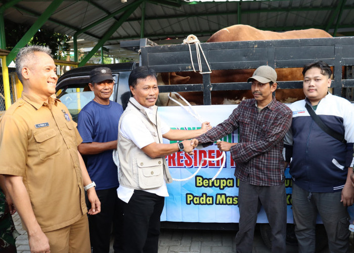 Jamin Keamanan Ibadah Kurban, Wali Kota Cirebon Tinjau Kelayakan Hewan di Lima Titik