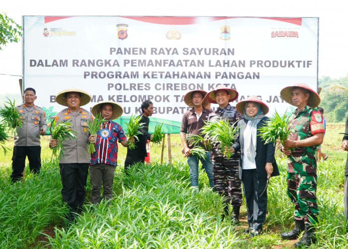 Polres Cirebon Kota Gelar Panen Raya Sayuran, Dukung Ketahanan Pangan dan Penanggulangan Stunting