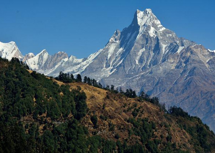 Salju di Pegunungan Himalaya Longsor 28 Pendaki Terjebak, 8 Sudah Terevakuasi