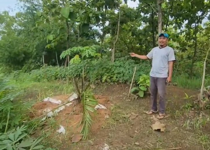 Warga Desa Cigobang Tolak Perkebunan Sawit di Bukit dan Lereng, Khawatir Krisis Air dan Longsor