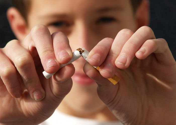 Percayalah, Berhenti Merokok Kurangi Resiko Kanker, Berikut Hasil Penelitiannya