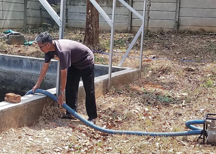 Nasib Eks Karyawan Bank Cirebon setelah PHK, Ada yang Pilih Berkebun dan Beternak