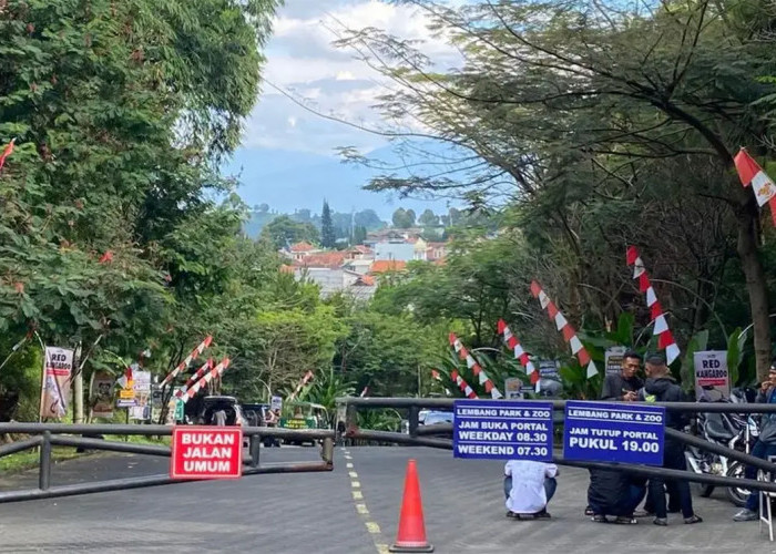 GEGER Macan Tutul Kutamandarakan Kuningan Kabur di Lembang, Warga Panik