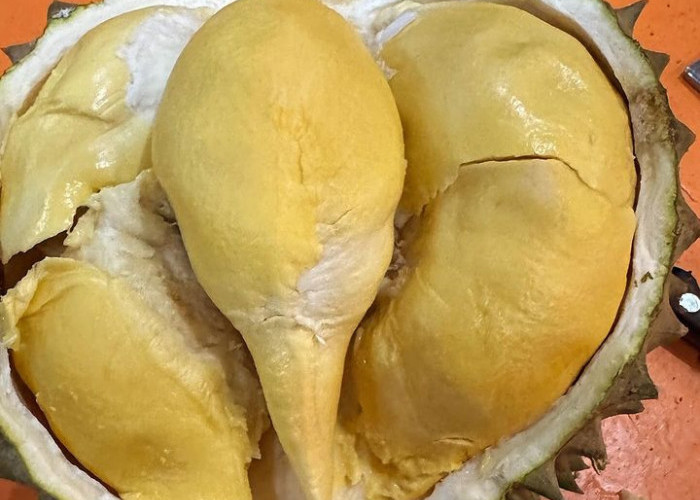 4 Cara yang Harus Dilakukan Jika Anda Mabuk Durian