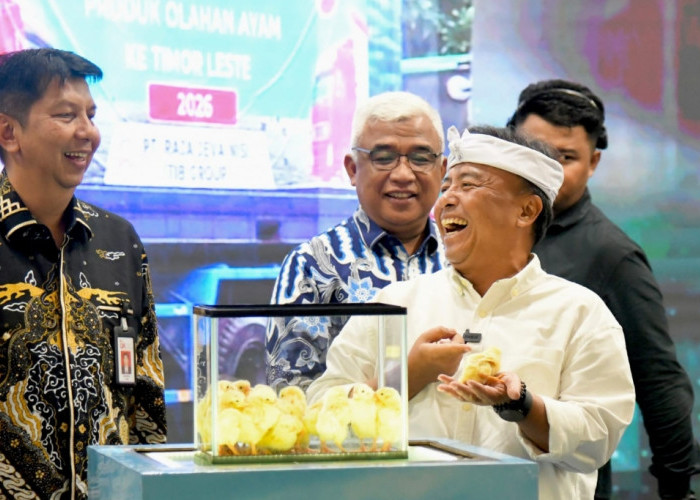 Program EGG Jabar Diluncurkan, 4.665 Peternak Ayam Petelur Didorong Naik Kelas