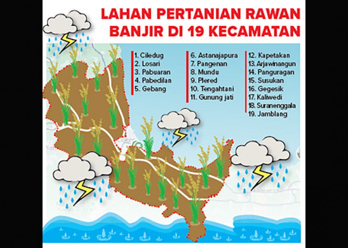 1.550 Hektare Lahan Pertanian di Kabupaten Cirebon Rawan Banjir