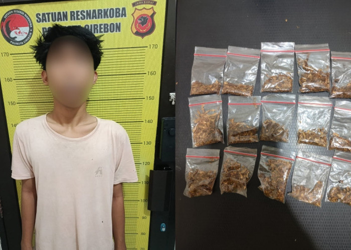 Polisi Ungkap Dugaan Peredaran Tembakau Sintetis di Palimanan Cirebon, 15 Paket Disita