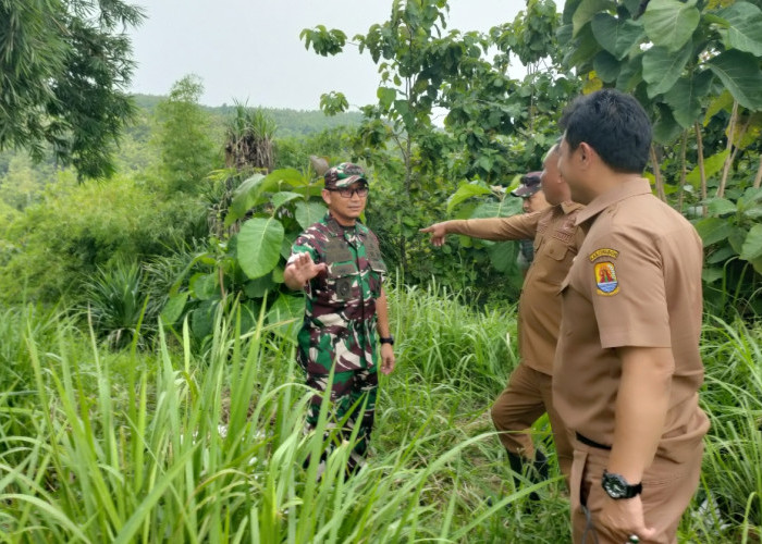 Danrem 063 SGJ Tinjau Sawit di Pasaleman, TNI Siap Bantu Pencabutan dan Tanam Ulang