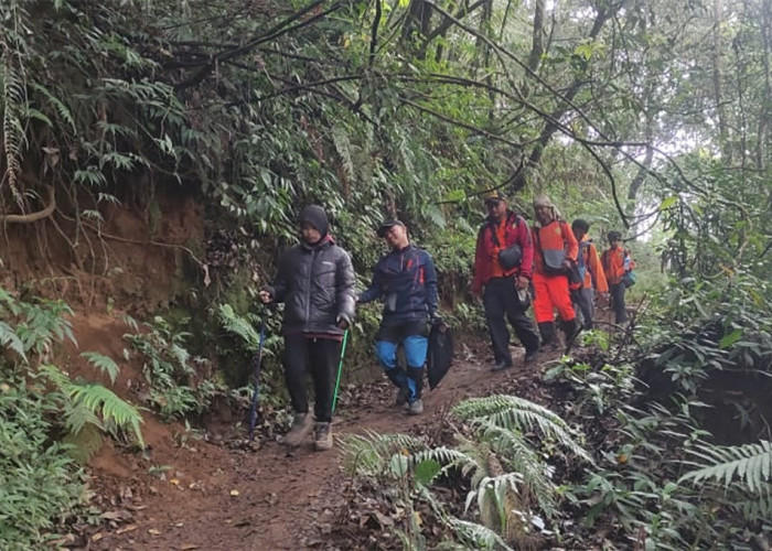 2 Remaja Perempuan Hipotermia di Gunung Lawu Sempat Memaksakan Diri, Usia 16 dan 17 Tahun