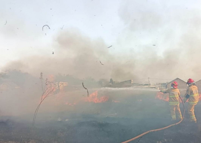 Kebakaran Lahan 1,5 Hektare di Tegalwangi Cirebon Nyaris Merembet ke Gudang MBG