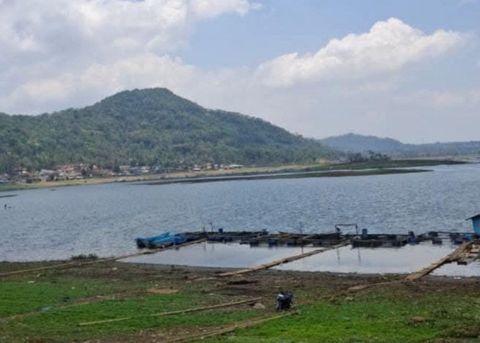 Waduk Darma Surut, BBWS Pastikan Irigasi Pertanian Tetap Normal