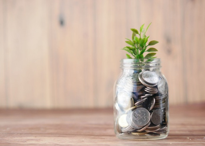 Gaji UMR Bukan Halangan untuk Investasi, Ini Tips Memulai Reksadana agar Keuangan Tetap Aman