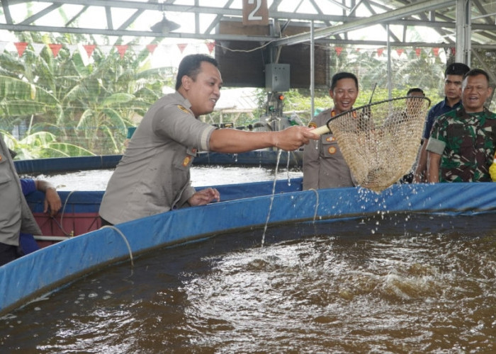 Polres Ciko Gandeng Kelompok Budidaya Ikan Nila Guna Mendukung Asta Cinta Presiden RI