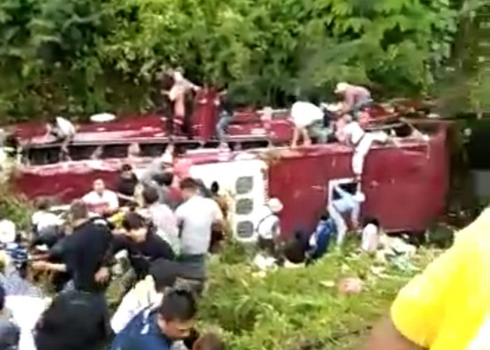 BREAKING NEWS: Bus Wisata Masuk Jurang di Guci Tegal, Banyak Penumpang