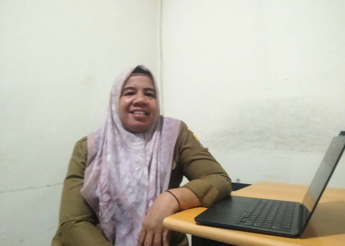 BKPSDM Ungkap Detail Hukuman ASN dalam Kasus Mobil Bergoyang