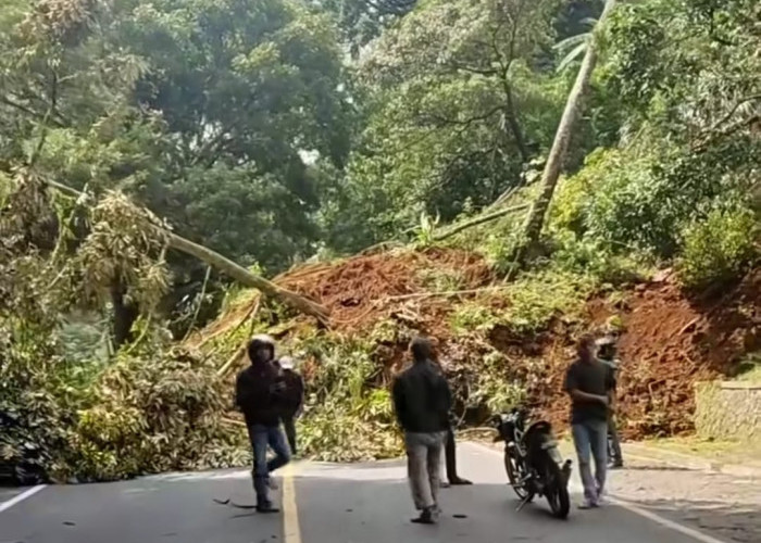 Dampak Gempa Cianjur, Jalan Puncak Putus karena Longsor