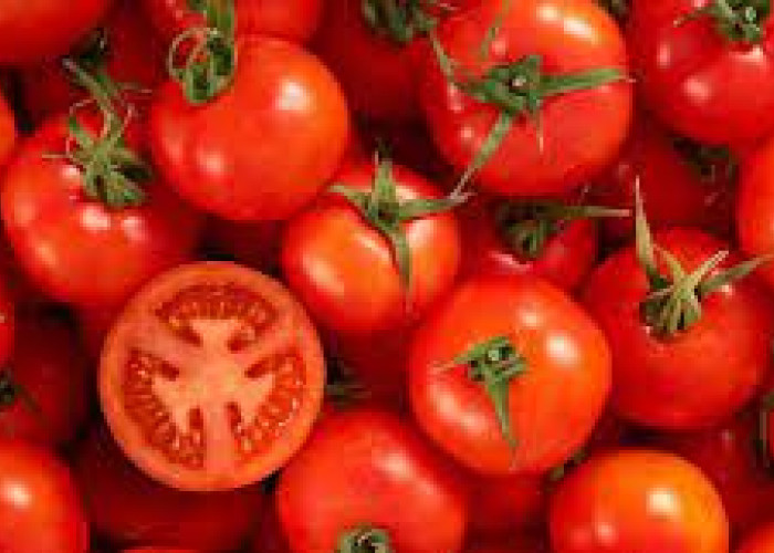 Ini Manfaat Tomat Bisa Menghilangkan Jerawat dan Kecilkan Pori Kulit