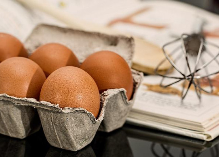 Waspada! Bakteri Salmonella Terdapat dalam Telur, Bisa Berbahaya Jika Cara Memasaknya Tidak Benar