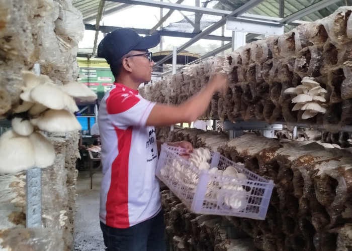 Baru 6 Bulan, BUMDEs di Desa Ini Sudah Beromzet Rp11 Juta Perbulan, Apa Sih Usahanya?