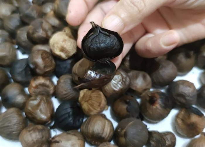 Wajib Tahu! 4 Khasiat Bawang Hitam Untuk Menjaga Kesehatan Tubuh