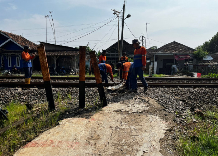 KAI Daop 3 Cirebon Tertibkan Perlintasan Sebidang Ilegal Demi Keselamatan Warga