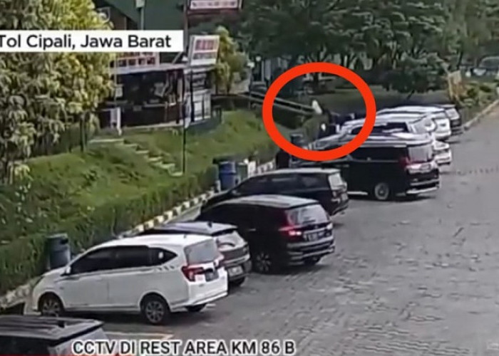 CCTV Brigadir J di Jalan Tol Cipali, Lihat yang Terjadi di Rest Area KM 86