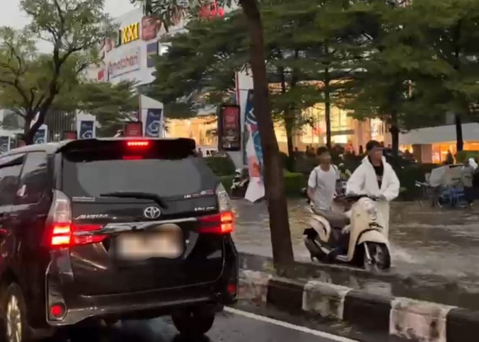 Cirebon Kebanjiran Lagi! Jalan Pemuda, Cipto, hingga Tuparev Tergenang, Lalu Lintas Lumpuh