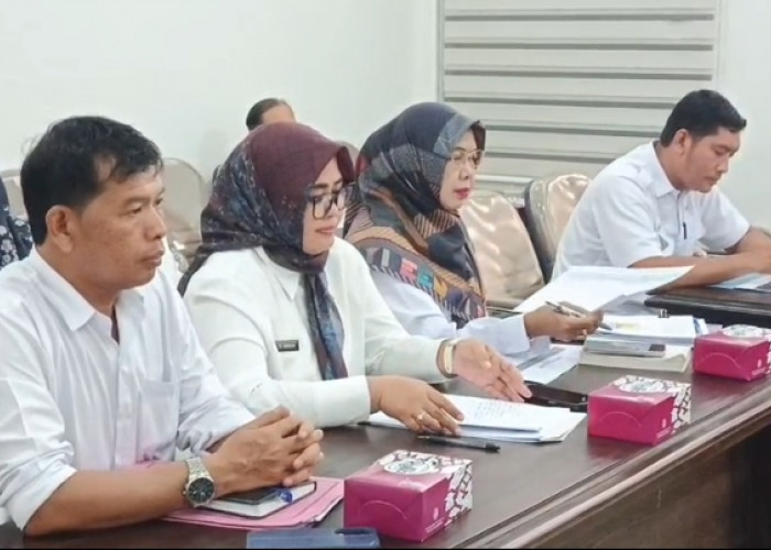 Perluas Pemetaan Investasi hingga Desa DPMPTSP Siapkan Sistem Digital