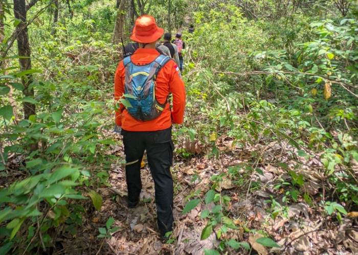 Seorang Pria Hilang di Hutan Batu Baok, Kelurahan Sumber Cirebon