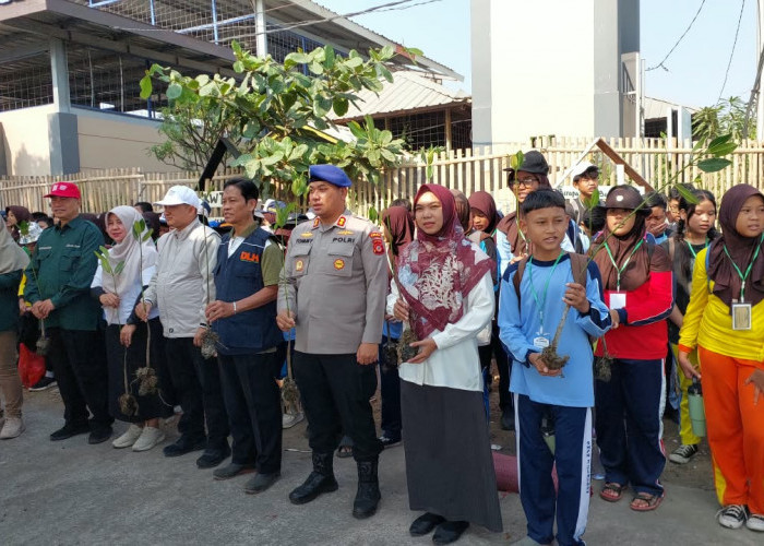 SMPN 7 Cirebon Tanam Mangrove di Kesenden, Disdik Dorong Sekolah Cetak Karakter Lingkungan