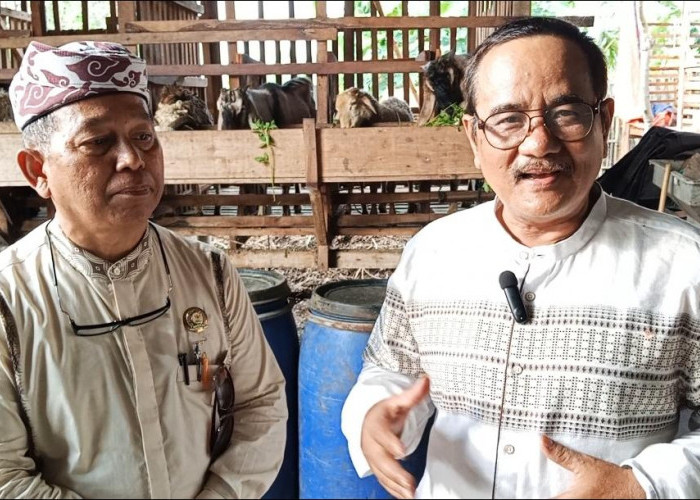 Program Balai Ternak BAZNAS Kota Cirebon, Solusi Nyata Angkat Ekonomi Warga