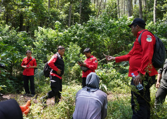 90 Karhutla Terjadi di Jawa Barat hingga Agustus 2026, Sumedang Paling Banyak