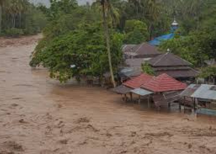 Banjir Sumatra Mengungkap Dampak Nyata Kapitalisme Ekstraktif