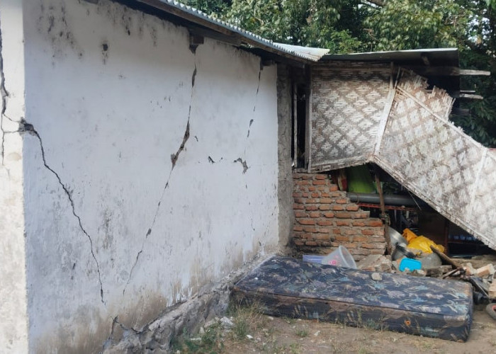 BNPB Update Korban Gempa NTT: 75 Meninggal, 907 Luka-luka