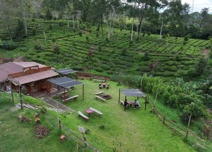 Kampung Koboi Tugu Selatan, Wujud Transformasi Desa Berbasis Potensi Lokal dalam Program Desa BRILiaN