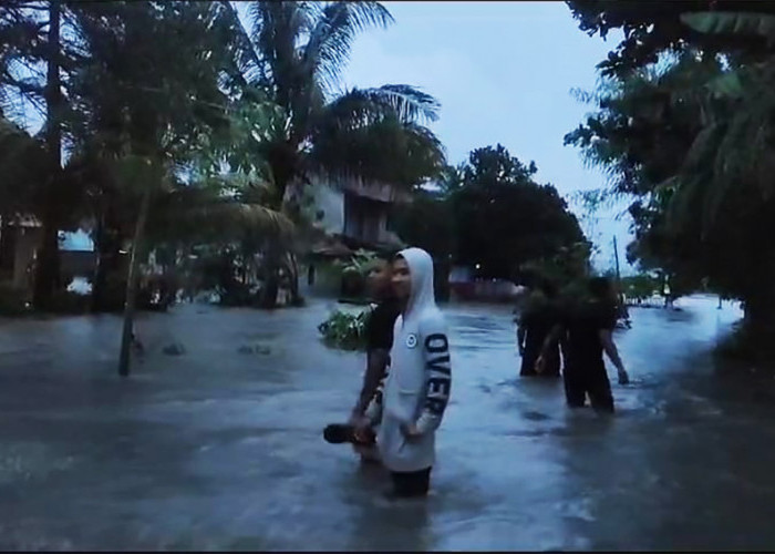 Banjir di Cianjur, Pemukiman di 3 Kecamatan dan 100 Hektare Sawah Tergenang, Akibat Sungai Cibodas Meluap